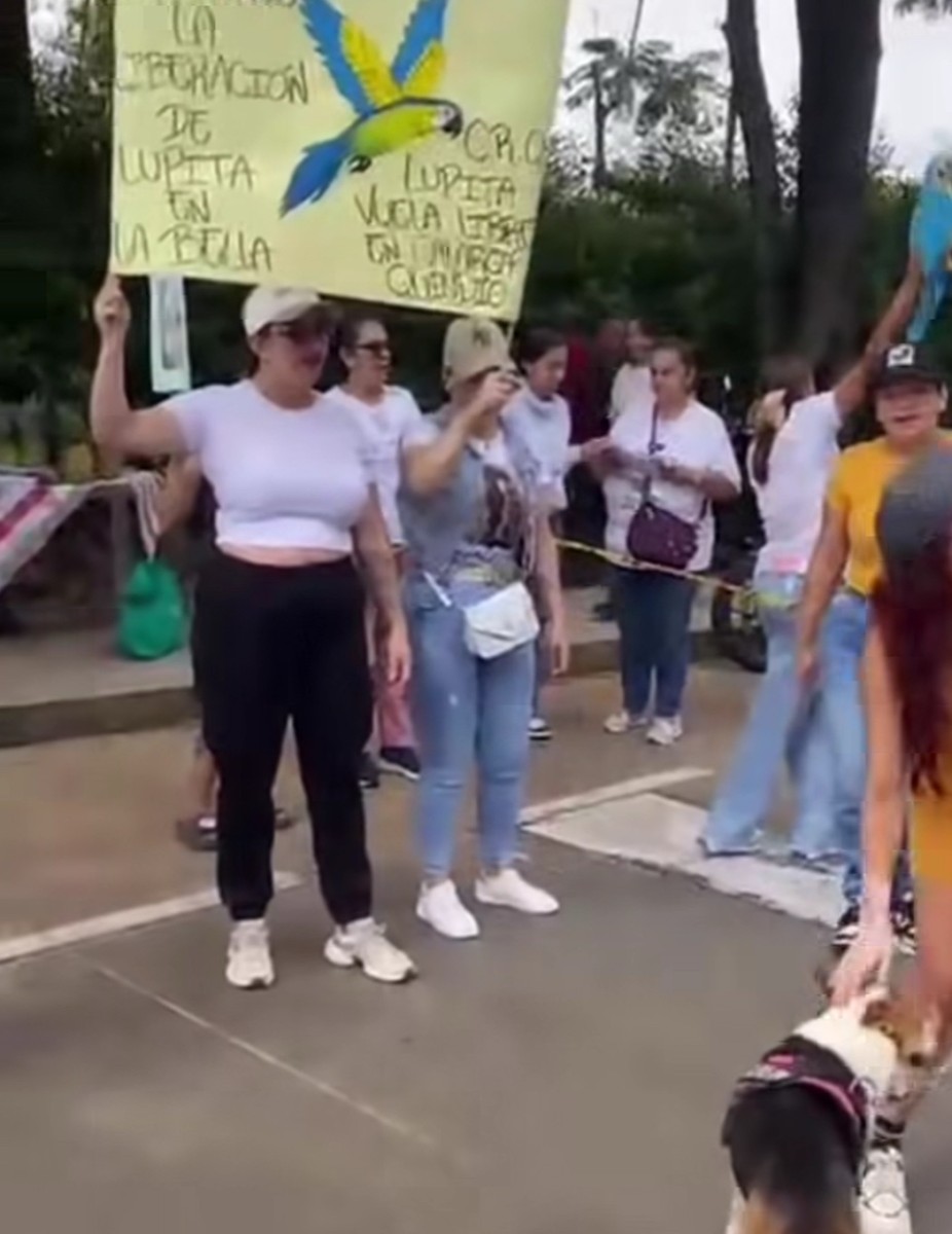 Delegadas de Petro, del Gobernador y del MinAmbiente tenían razón: corrigen acta en elección del director encargado de la CRQ