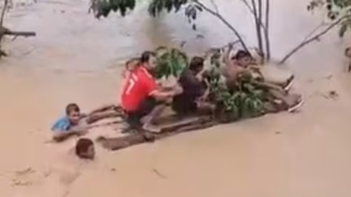 ¡HÉROE DEL URABÁ! Menor sobrevivió 15 horas colgado de un árbol en medio de inundación